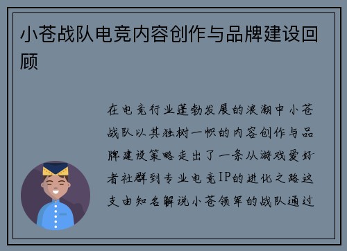 小苍战队电竞内容创作与品牌建设回顾